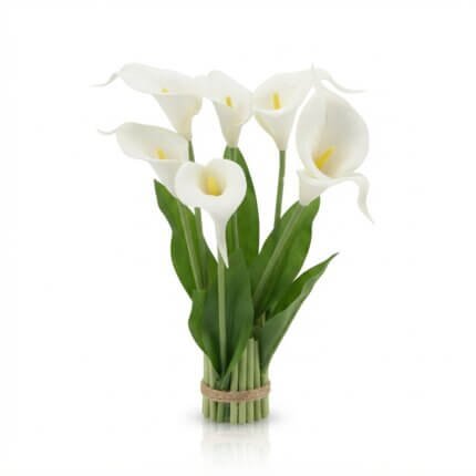 orchidèe blanche à poser